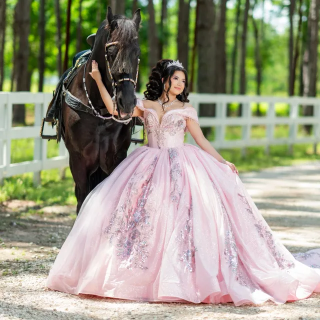FV Solutions Quinceanera Photographer