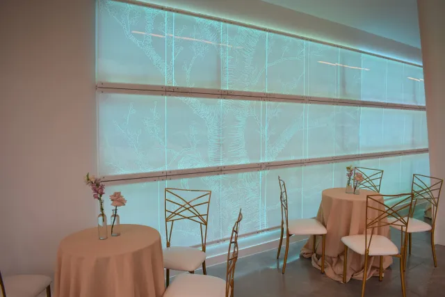 Lux Vita Events Quinceanera