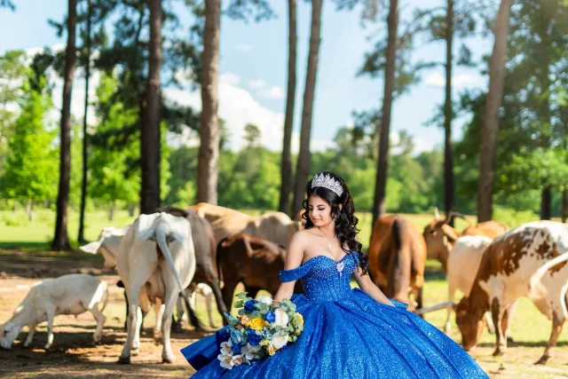 FV Solutions Houston Quinceanera Photography