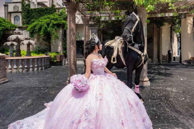 FV Solutions Houston Quinceanera Photography