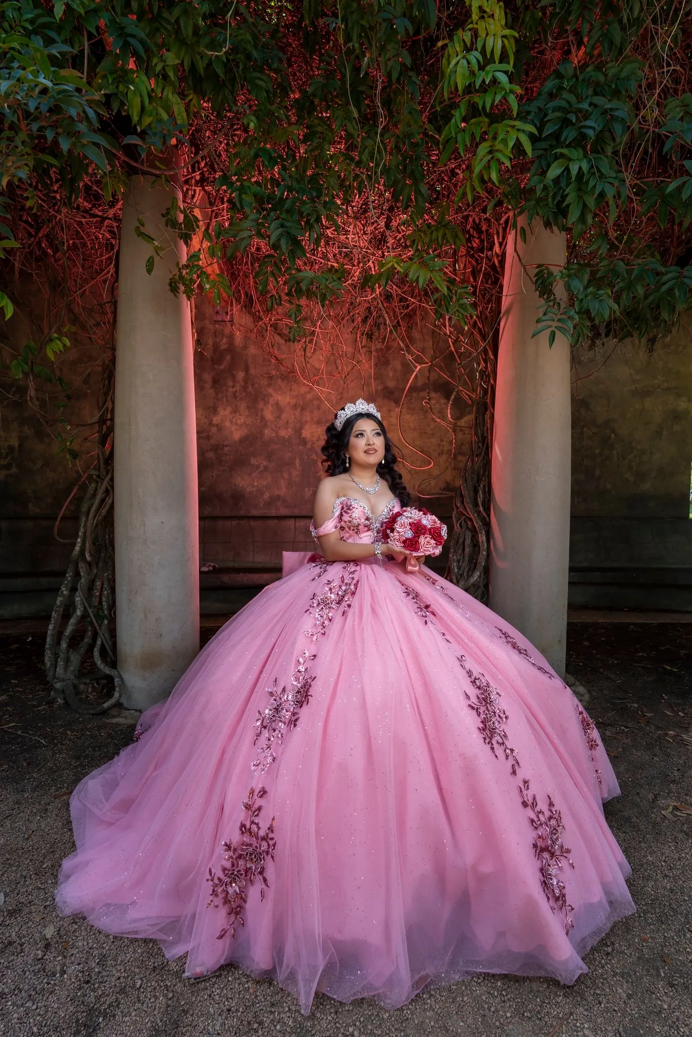 FV Solutions Houston Quinceanera Photography