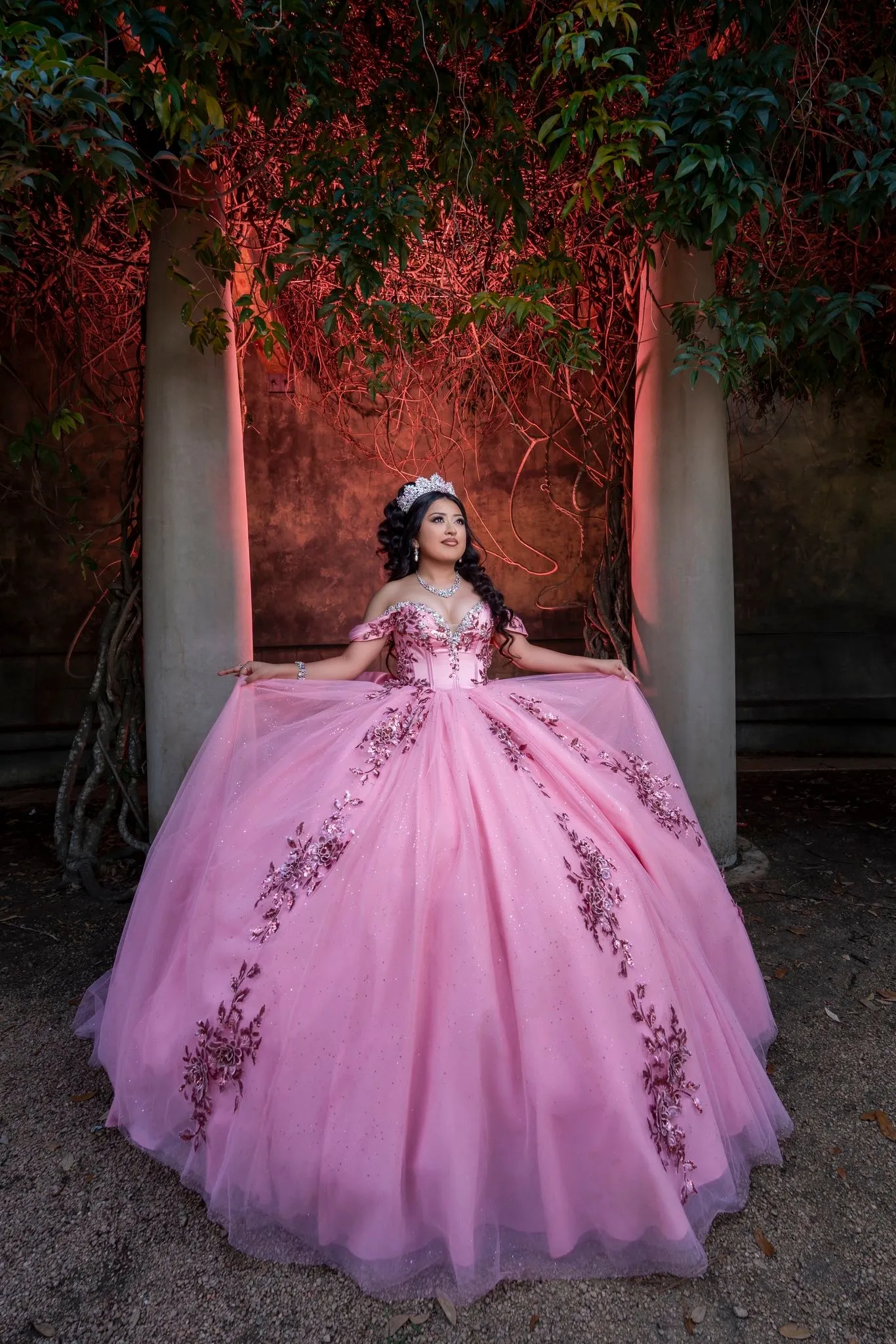 FV Solutions Houston Quinceanera Photography