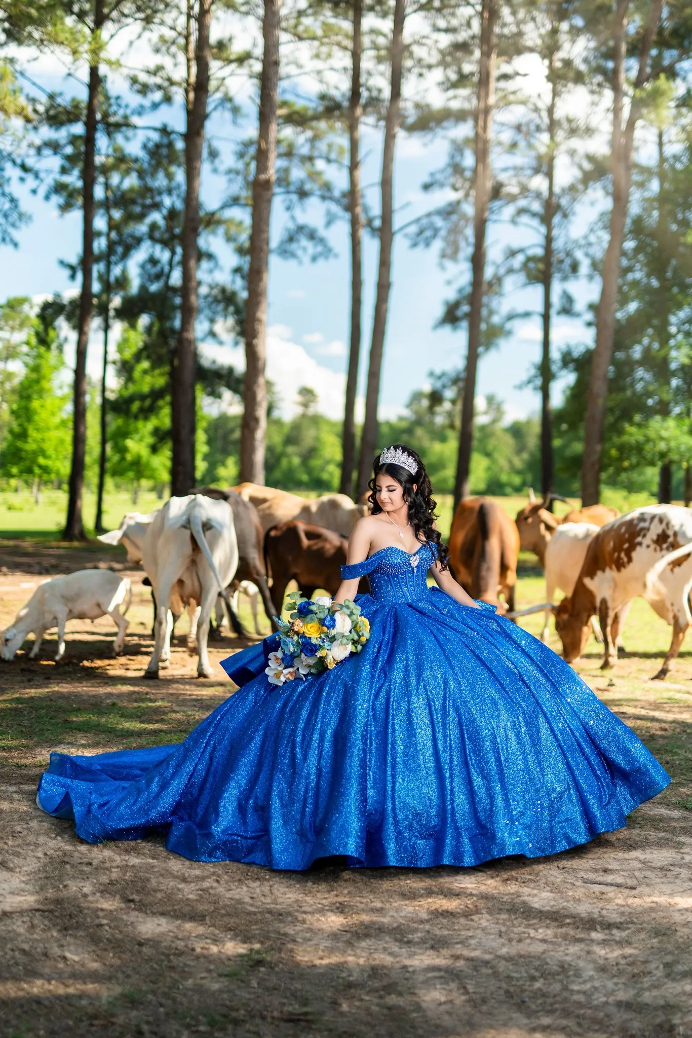 FV Solutions Houston Quinceanera Photography