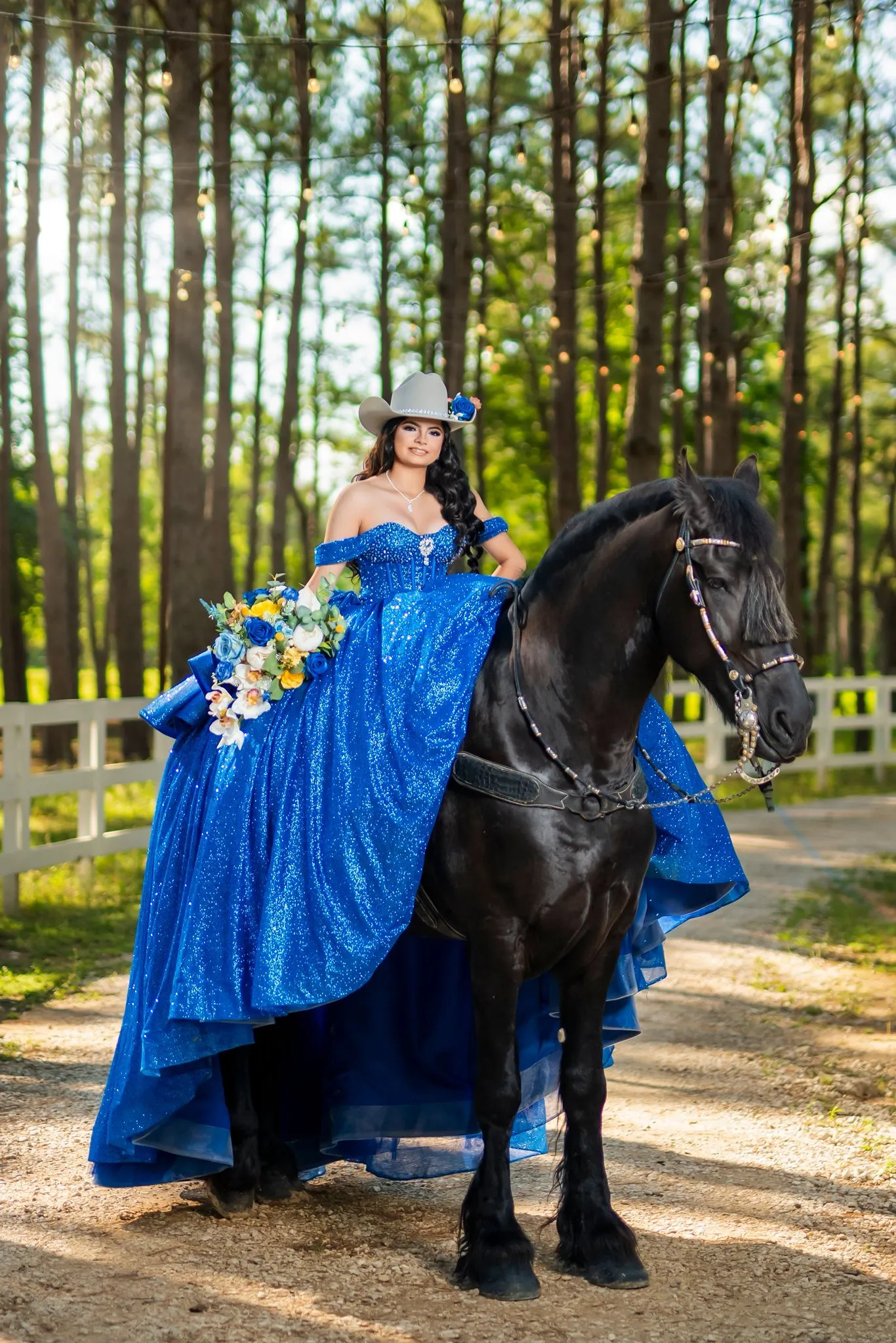 FV Solutions Houston Quinceanera Photography