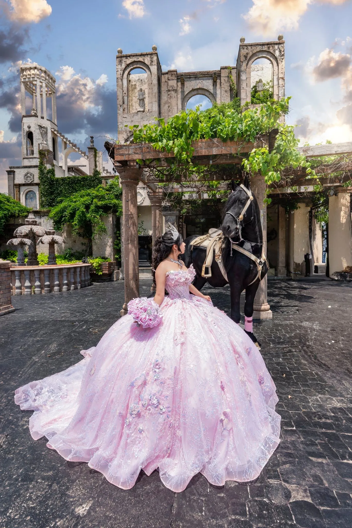 FV Solutions Houston Quinceanera Photography